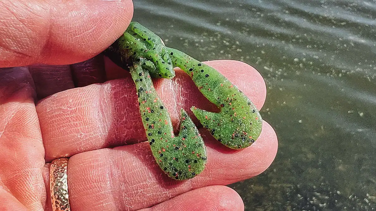 Berkeley PowerBait MaxScent Stank Bug claws