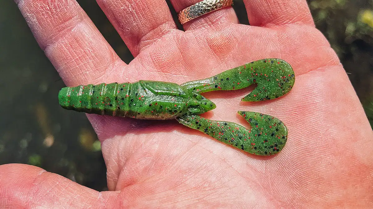 Berkeley PowerBait MaxScent Stank Bug in a palm