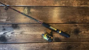 spincast reels lead