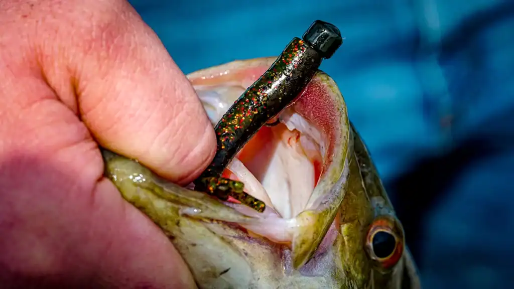 Micro baits for smallmouth bass