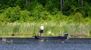 Fishing the reeds with jon boat