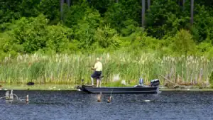 Jon Boats: What are They and How do They Work?