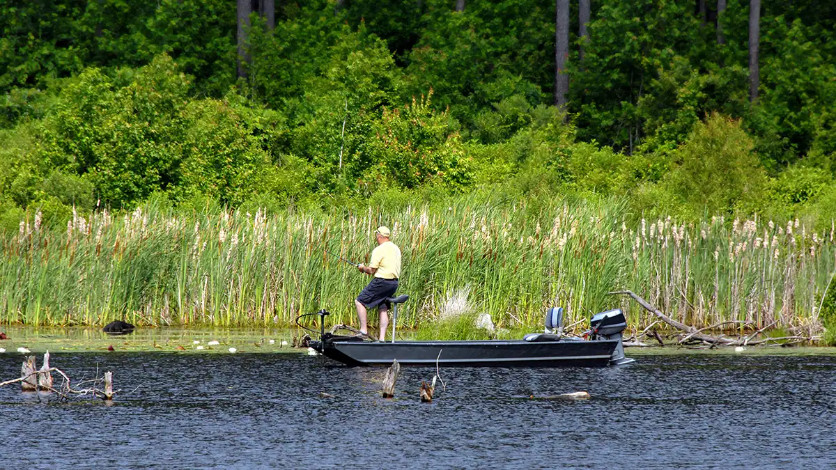 Fishing the reeds with jon boat