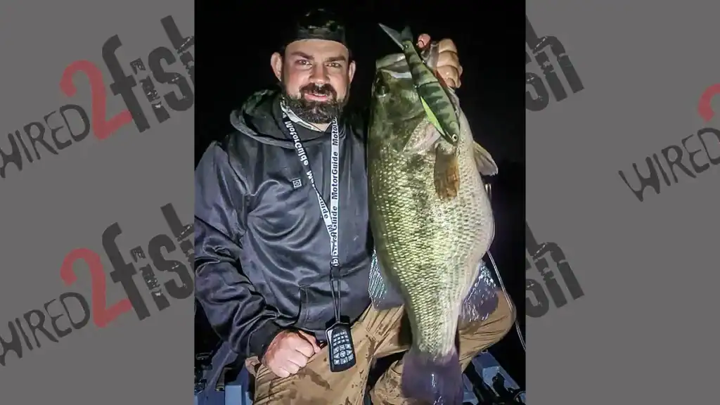 Daniel Caricaburu-Lundin and large bass