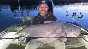 121-Pound Blue Catfish Smashes 13-Year-Old Record