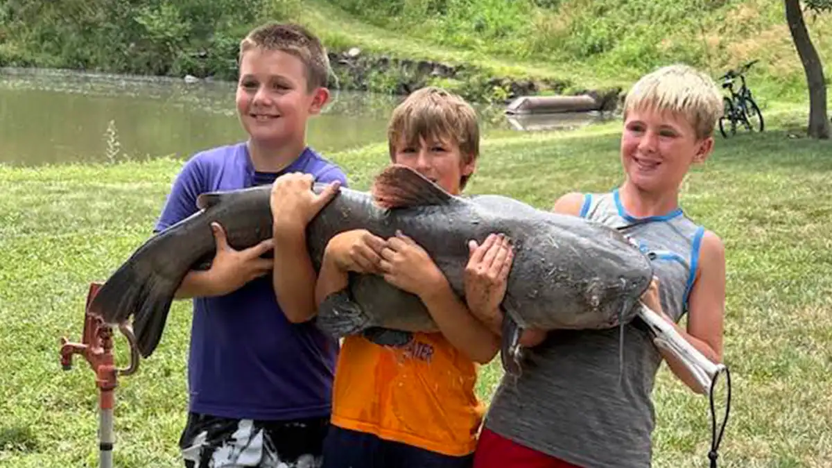 Kansas kids and big cat lead