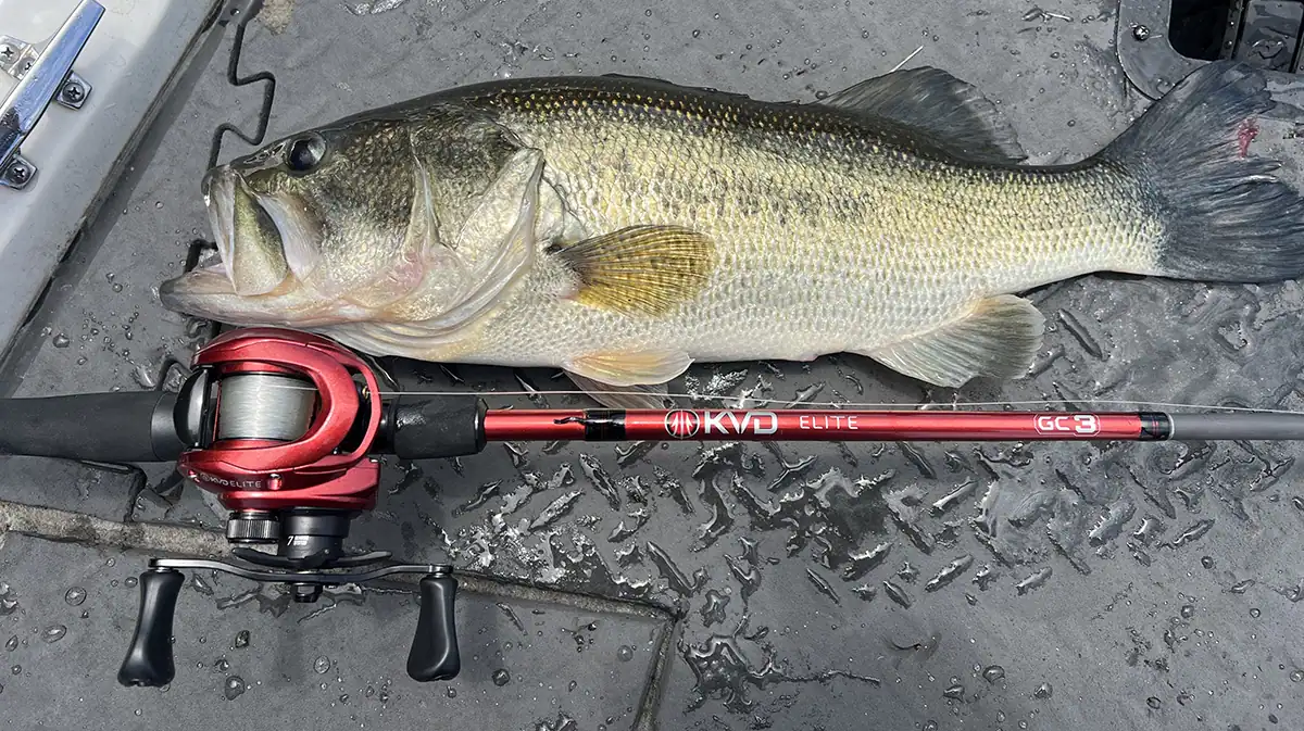 Lews KVD Elite Casting Rod