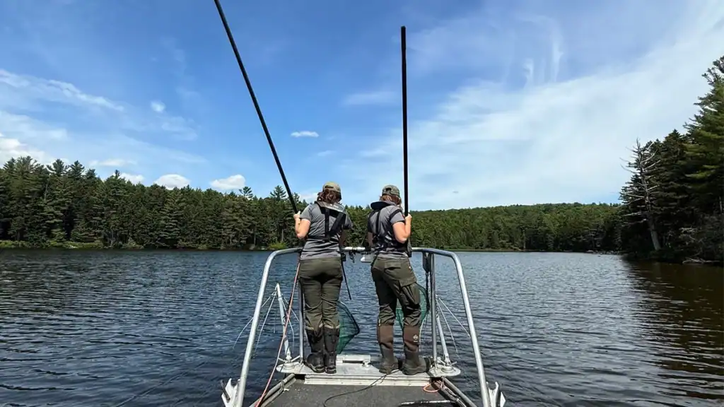 MDIFW Bios Electrofishing