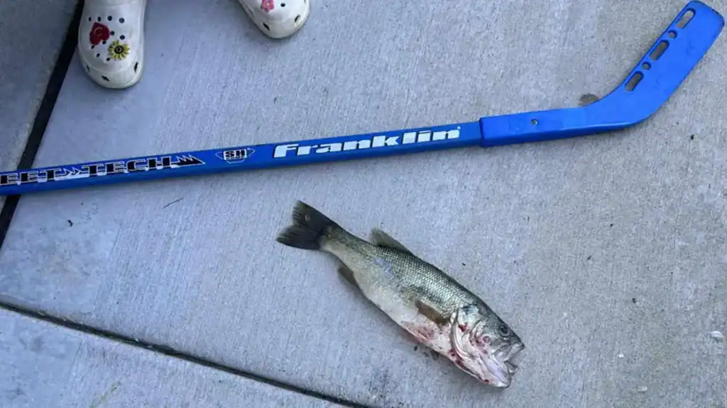 hockey stick used to remove stuck bass