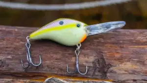 Monster Fish Outdoors Expands Portfolio with Acquisition of Profound Outdoors