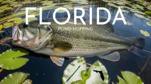 AI largemouth bass