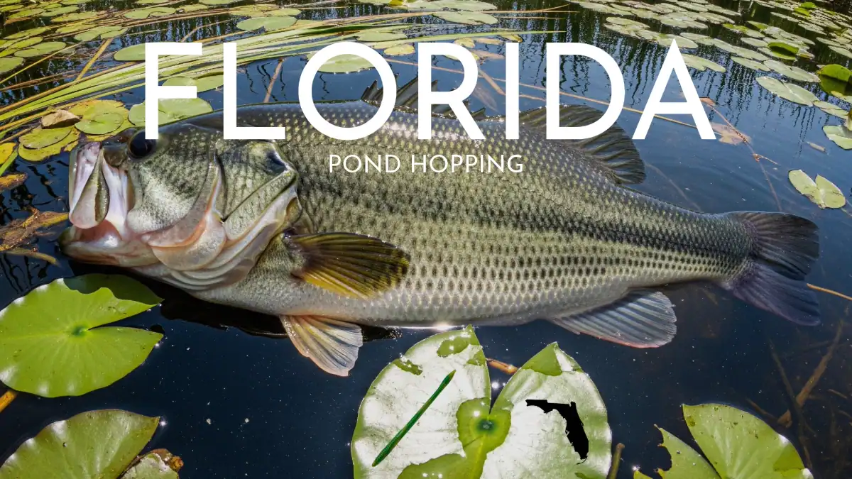 AI largemouth bass