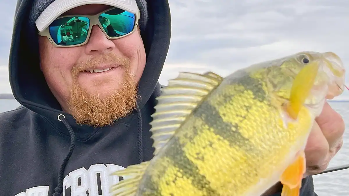 live bait perch fishing