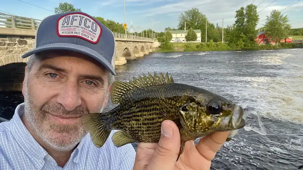 angler and rock bass