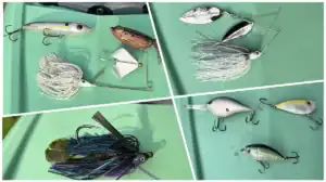 September lures