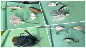 What Lures We’re Throwing in September