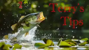 Terry's Tips