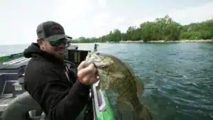 How to Catch Kicker Bass in Any Tournament