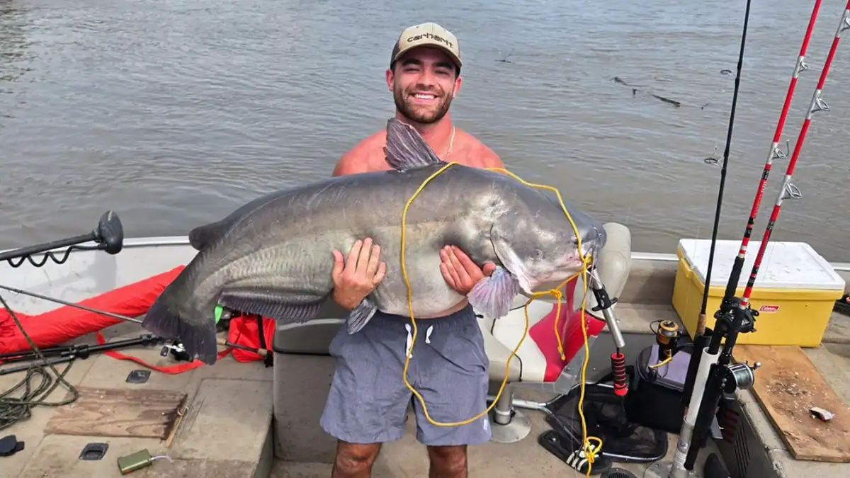 Big Missouri River catfish caught