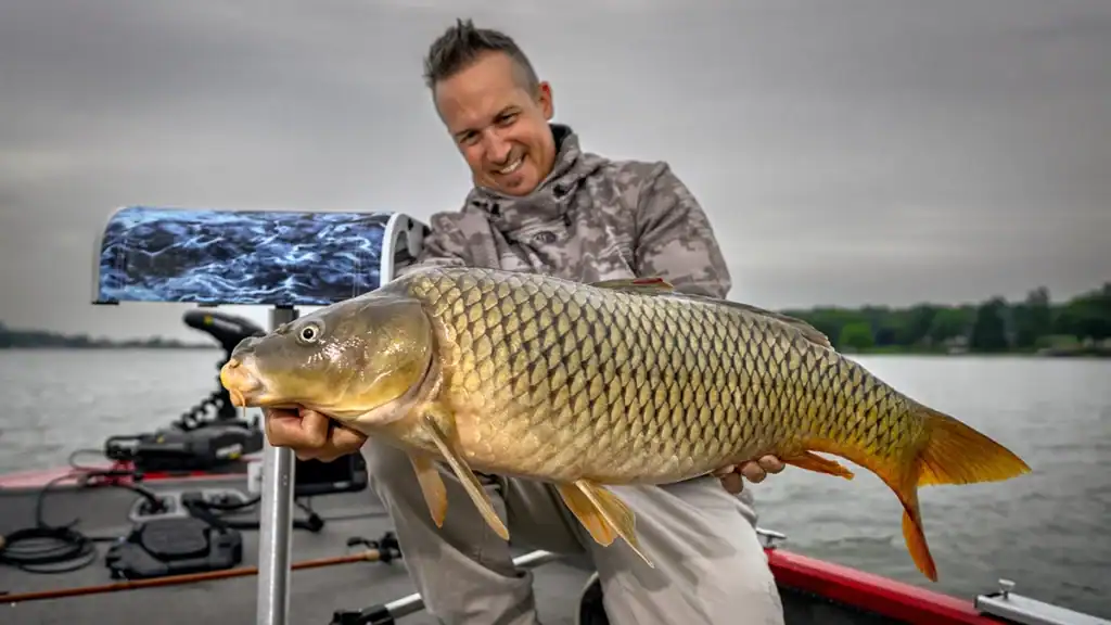 carp hero image