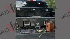 Man Uses Phone to Electrocute Fish, Gets Fined
