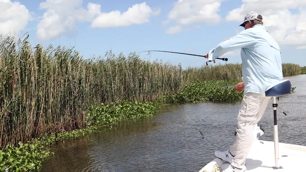 Pitching for bass in Louisiana