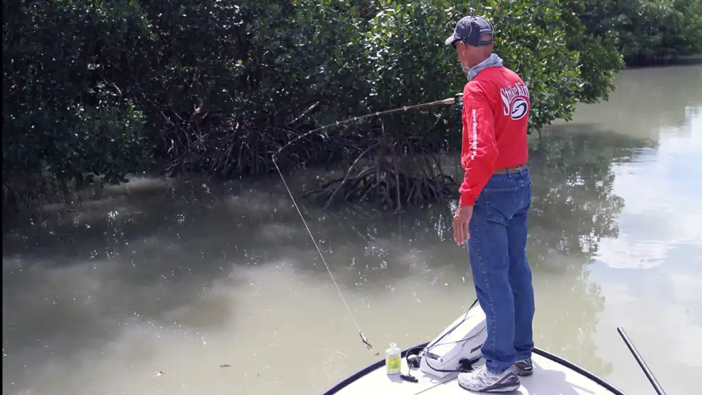 Pitching for redfish in mangroves