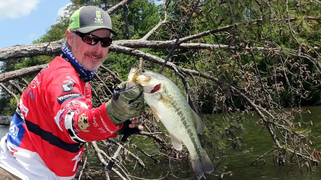 Bass fishing near trees