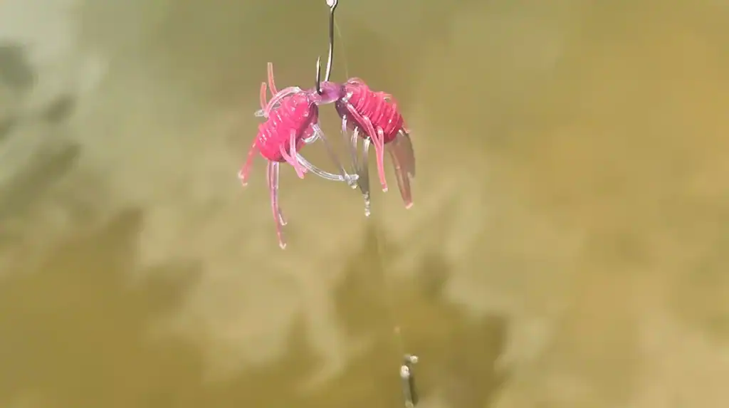 fuzzy baits on drop shot rig