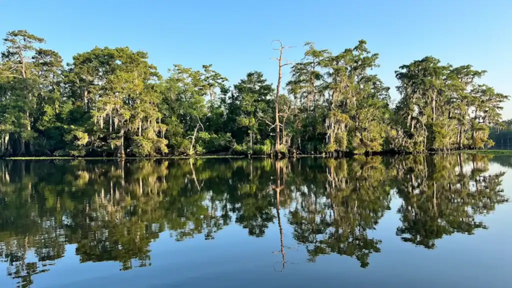Louisiana shoreline