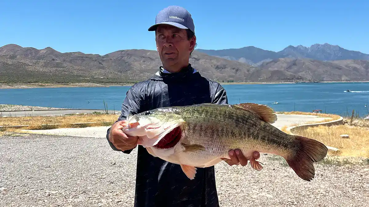 possible AZ record largemouth bass