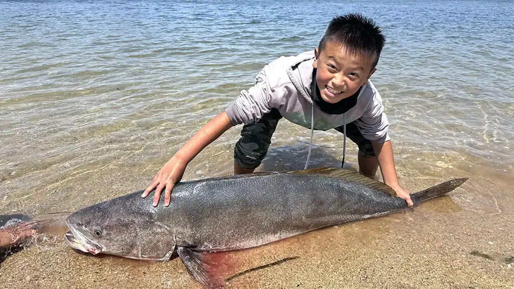 possible record white sea bass catch by youth angler