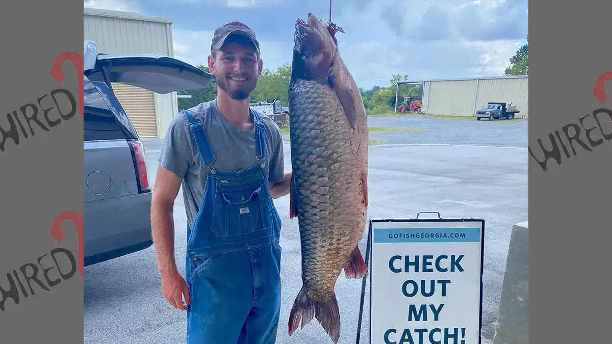potential line-class record grass carp
