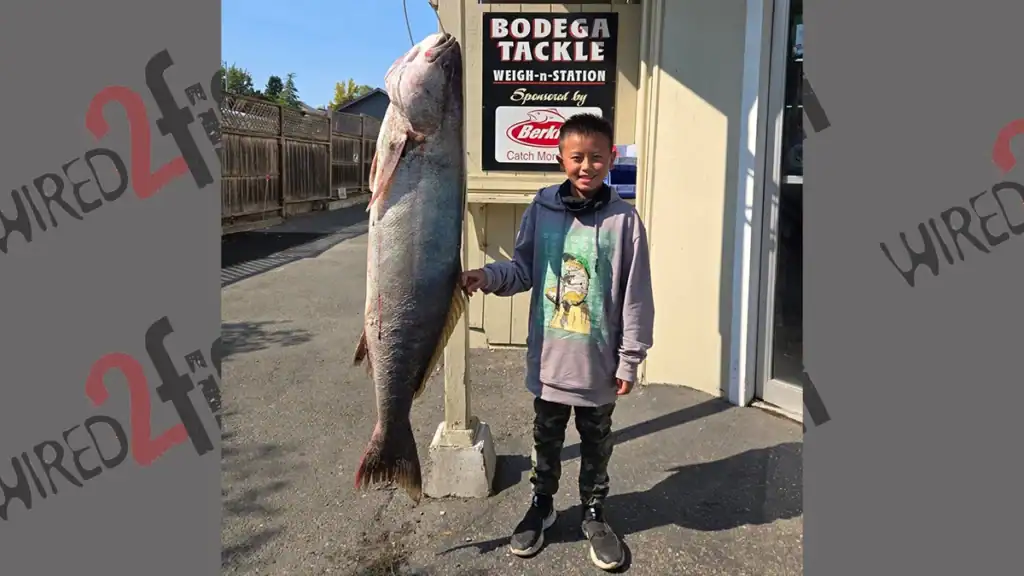 youth angler record white sea bass 63.7 pounds
