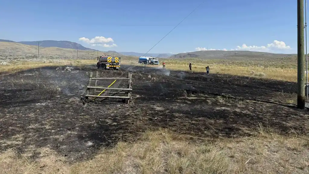 site of fire caused by osprey dropping fish