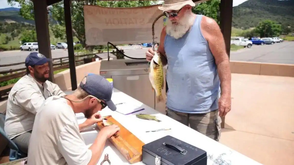 smallmouth_tournament1