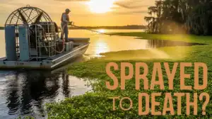 representation of a person spraying weeds on a lake