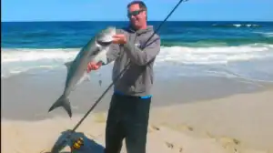 surf fishing for bluefish