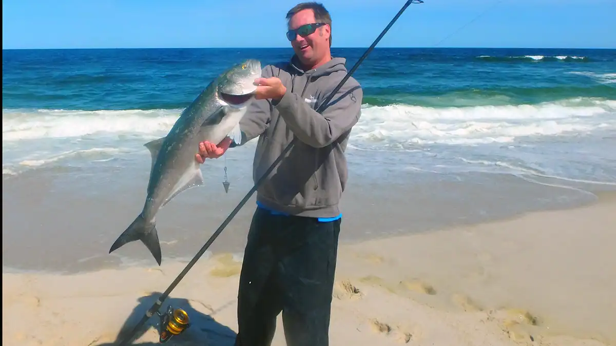 surf fishing for bluefish