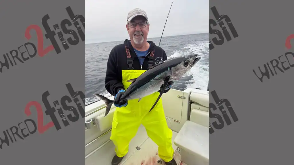 Albacore tuna caught off Sitka, Alaska