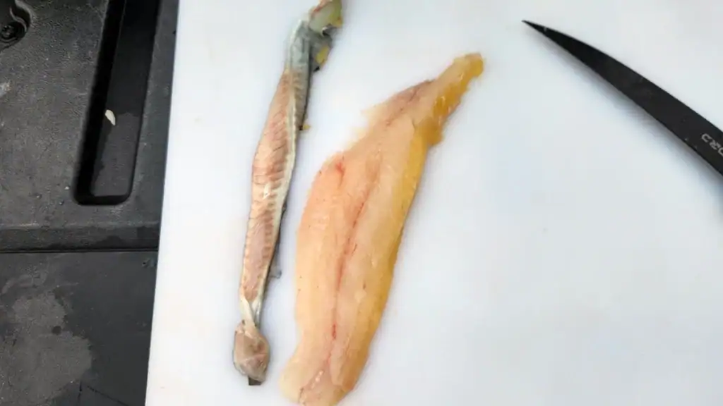 skin removed from catfish fillets 