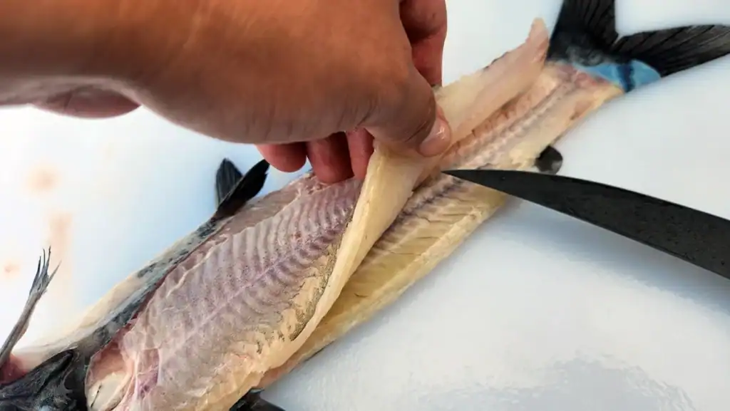 remove the fillet from a catfish