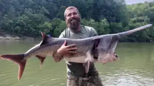 Kentucky Angler Catches Rare Paddlefish on a Crankbait