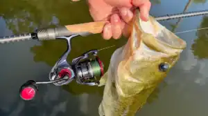 Daiwa Ballistic MQ LT