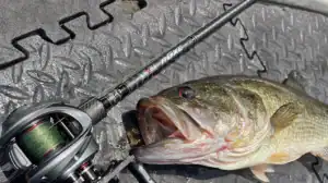 Level Rods NGXC catches largemouth bass