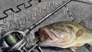Level NGXC Casting Rod Review