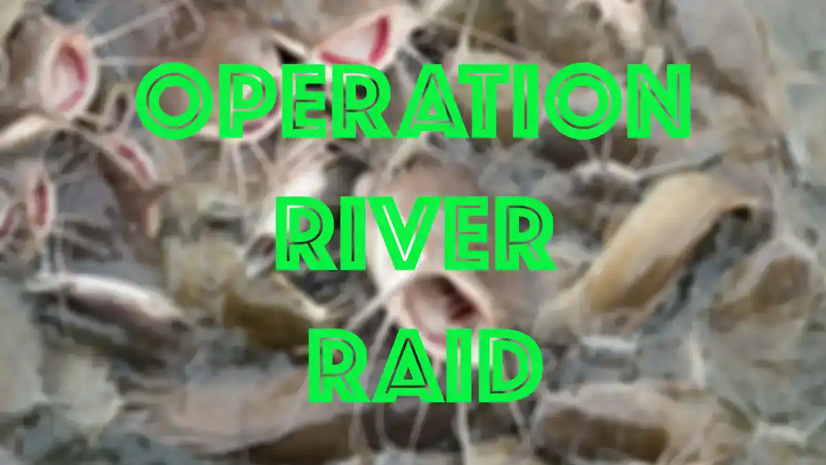 Operation River Raid