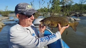 Types of Bass and How to Identify Them