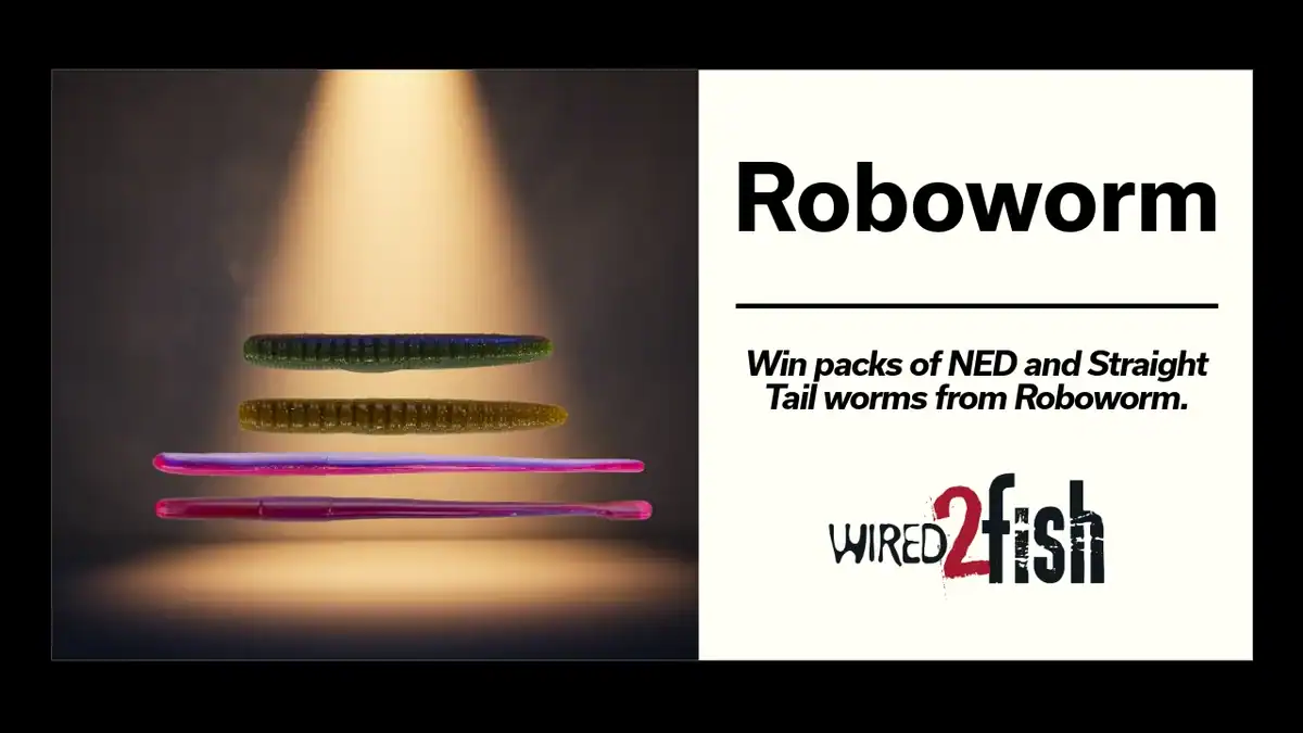 Roboworm giveaway