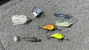 What Lures Were Throwing in October